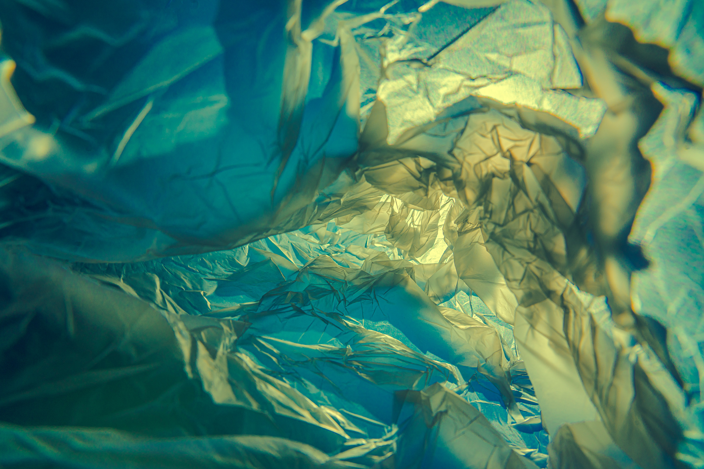 令和5年分確申の申告納税額、増加